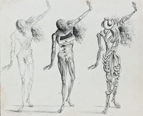 Collection layout Collection layout