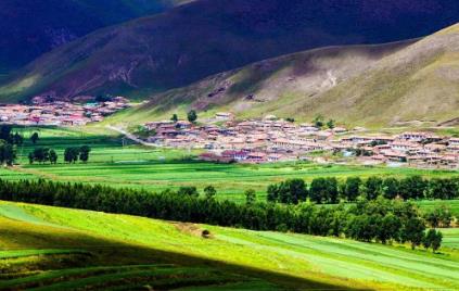 Chongli Grassland Chongli Grassland