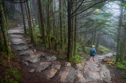 Site Diagram Site Diagram