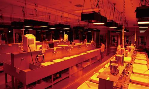 Darkroom for Japanese Art Photography Darkroom for Japanese Art Photography