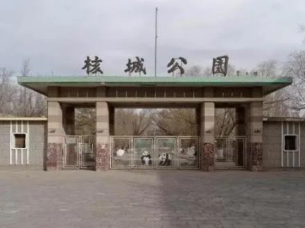 CSM Graphic Design Portfolio Project CSM Graphic Design Portfolio Project