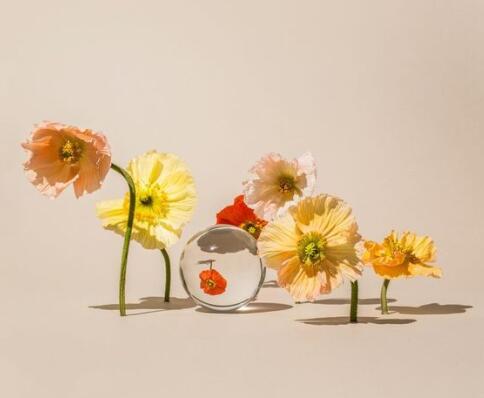 Photography study abroad, where to study photography Photography study abroad, where to study photography