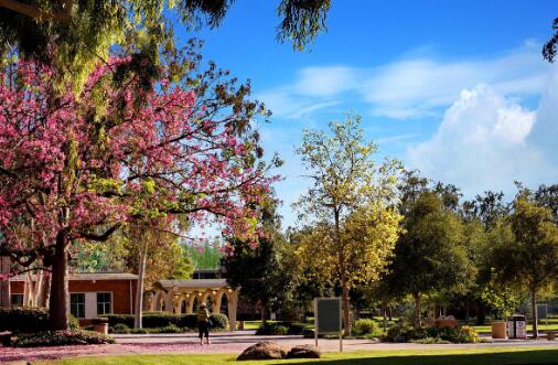 USC World Ranking (Why is USC's QS ranking low) USC World Ranking (Why is USC's QS ranking low)