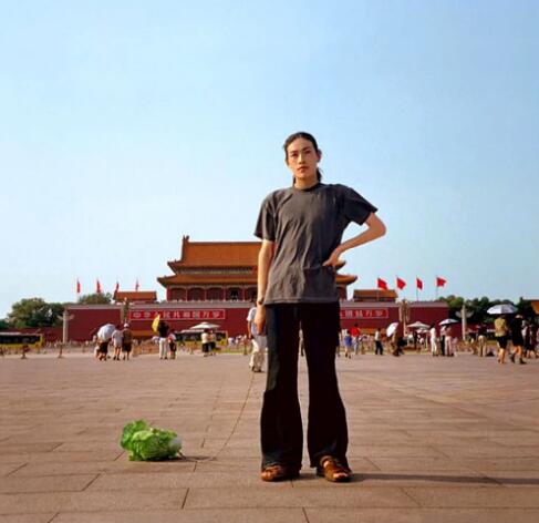 Is performance art suitable for putting collections? Is performance art suitable for putting collections?