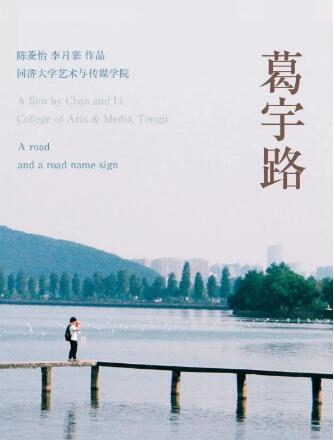 Is performance art suitable for putting collections? Is performance art suitable for putting collections?