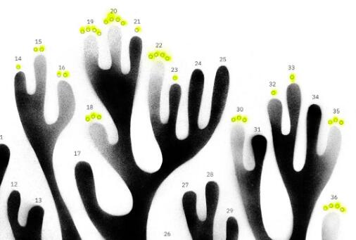 Data visualization overseas training project structure Data visualization overseas training project structure