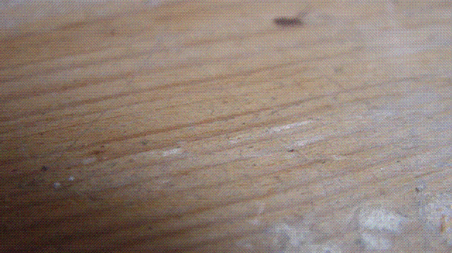 How to make film and television works How to make film and television works