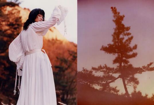 The Relationship between Fashion Photography Technology and Aesthetics The Relationship between Fashion Photography Technology and Aesthetics