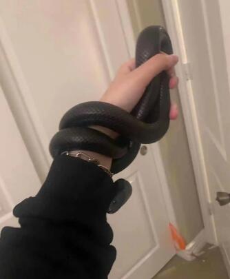 Interesting interaction design cases Interesting interaction design cases