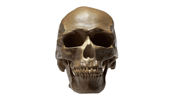 Art students studying abroad, and the number of art students setting up successively "collapsed houses"? Art students studying abroad, and the number of art students setting up successively "collapsed houses"?