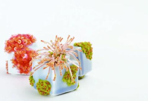 Fabric Design Fabric Design