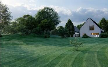 Customizable 3D lawn Customizable 3D lawn