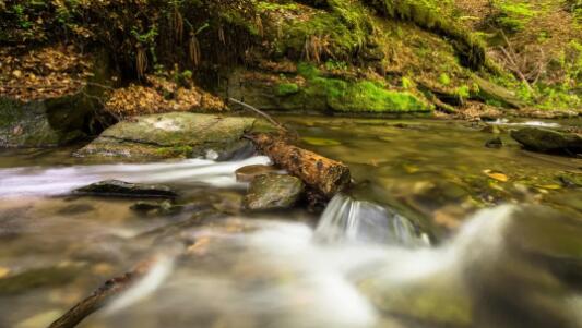 Overall Conceptual Planning and Design of Longmenshan Biodiversity Expo Park Overall Conceptual Planning and Design of Longmenshan Biodiversity Expo Park