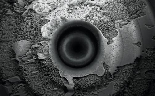 Visual works Visual works