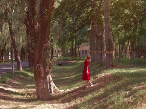 AA, Xie Fei's Landscape Design Case AA, Xie Fei's Landscape Design Case