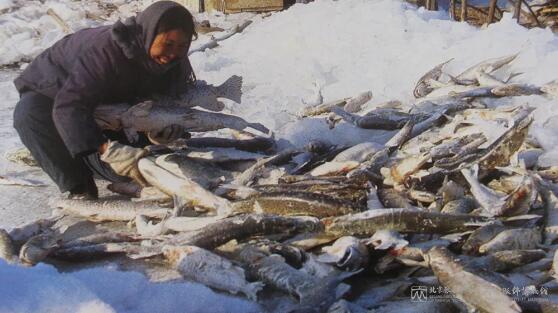 603c59e3353c1.jpg QQ screenshot 20210301100402.jpg