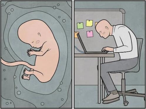 Illustration works Illustration works