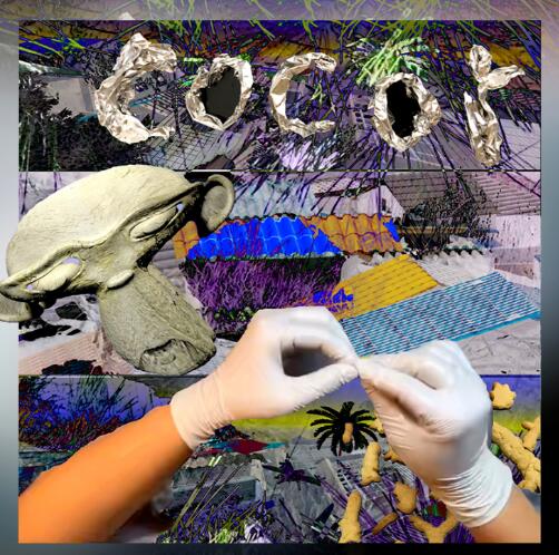 Graduation Design Works of Tokyo Shaxing University Graduation Design Works of Tokyo Shaxing University