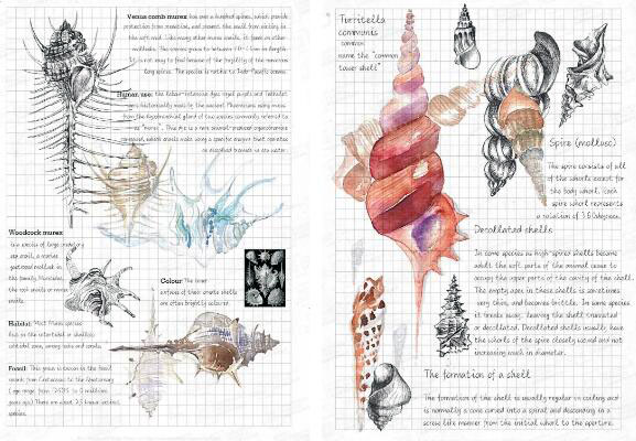 Product design hand painting and works Product design hand painting and works
