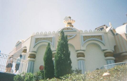 Film Photography Film Photography