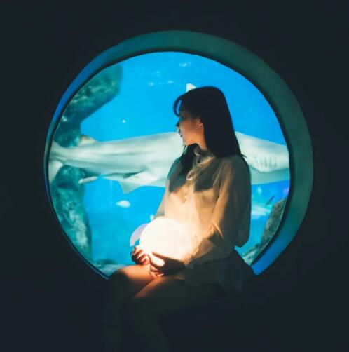 Film photographer warm and cold light Film photographer warm and cold light