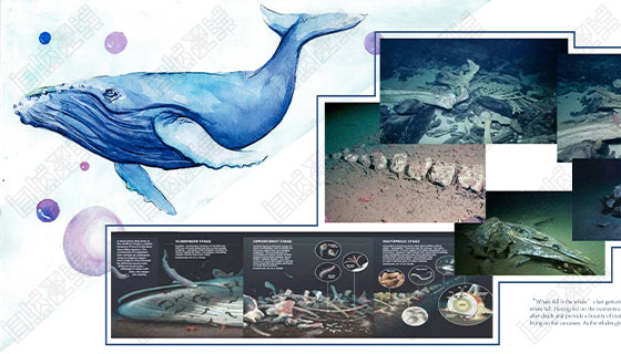 What are the conditions for art students to study abroad? What are the conditions for art students to study abroad?