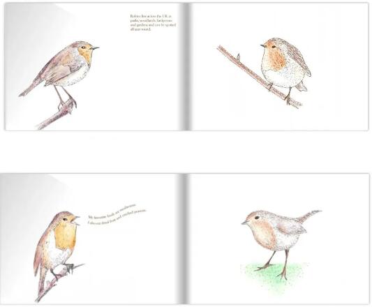 Illustrations and Visual Media Graduation Works Exhibition of London Media College Illustrations and Visual Media Graduation Works Exhibition of London Media College