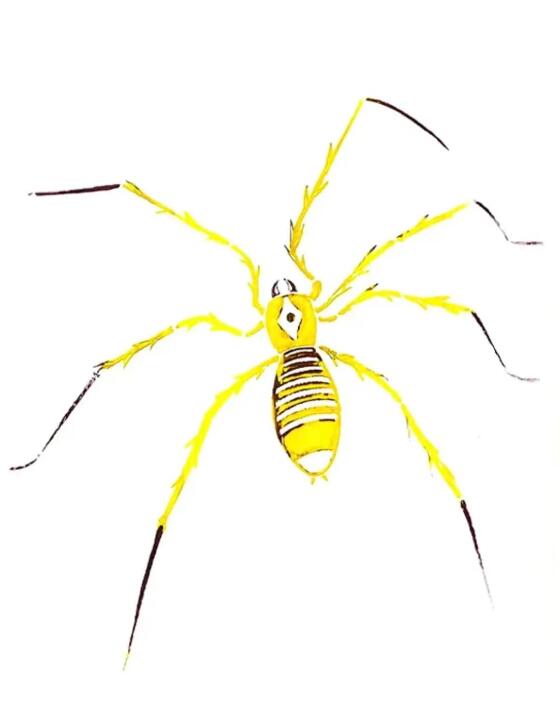 Illustrations and Visual Media Graduation Works Exhibition of London Media College Illustrations and Visual Media Graduation Works Exhibition of London Media College