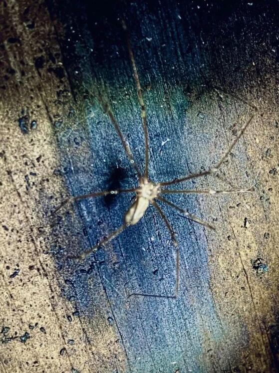 Illustrations and Visual Media Graduation Works Exhibition of London Media College Illustrations and Visual Media Graduation Works Exhibition of London Media College