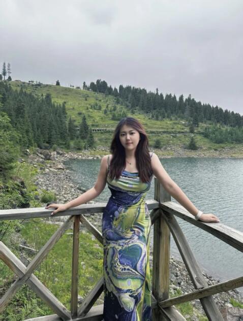 Pure Art Application Cases Pure Art Application Cases