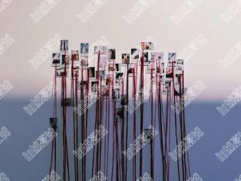 Chunyi's Collection of Overseas Works Chunyi's Collection of Overseas Works