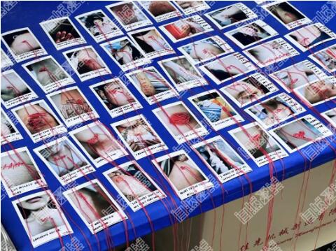 Pure Art Application Cases Pure Art Application Cases