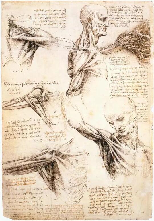 Leonardo da Vinci's human body and mechanical manuscripts Da Vinci's human body and mechanical manuscripts
