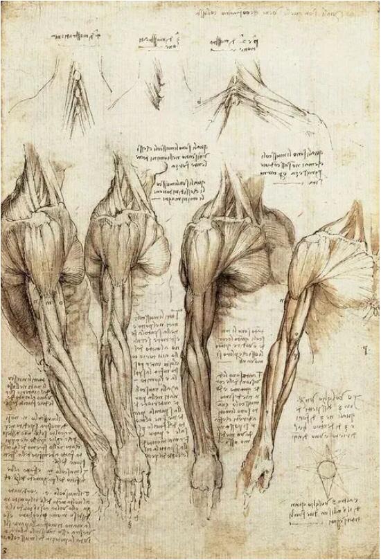 Da Vinci's human body and mechanical manuscripts Da Vinci's human body and mechanical manuscripts