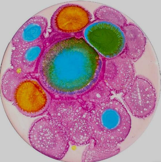 What are the pure arts majors of London University of the Arts? What are the pure arts majors of London University of the Arts?