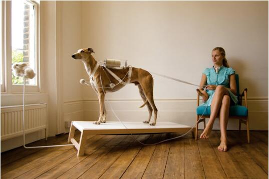 RCA Huangyi Future Design RCA Huangyi Future Design