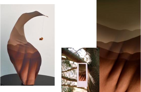 Theme of works collection in the field of touch: body visualized natural form Theme of works collection in the field of touch: body visualized natural form