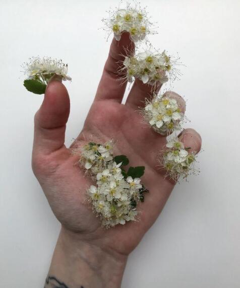 Why should we avoid "boundary feeling" in the collection of overseas art works? Why should we avoid "boundary feeling" in the collection of overseas art works?