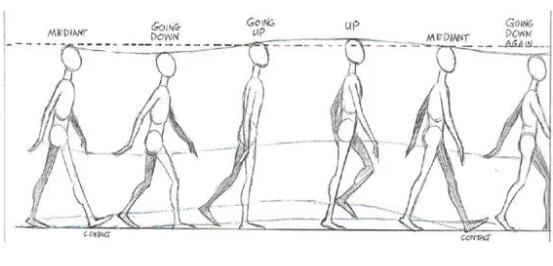 Advanced path of animation collection creation: advanced skills learning Advanced path of animation collection creation: advanced skills learning