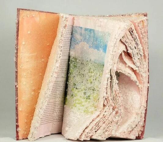 Collection coaching training: how to turn waste books into crystals? Collection coaching training: how to turn waste books into crystals?