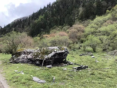  Site selection of natural light architecture workshop